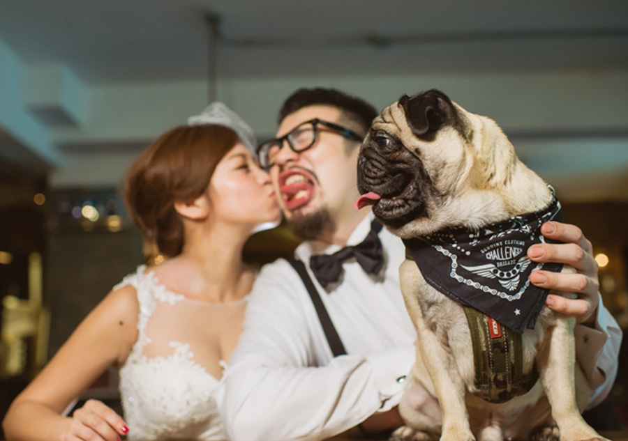 Funny wedding photos leave people with laughter