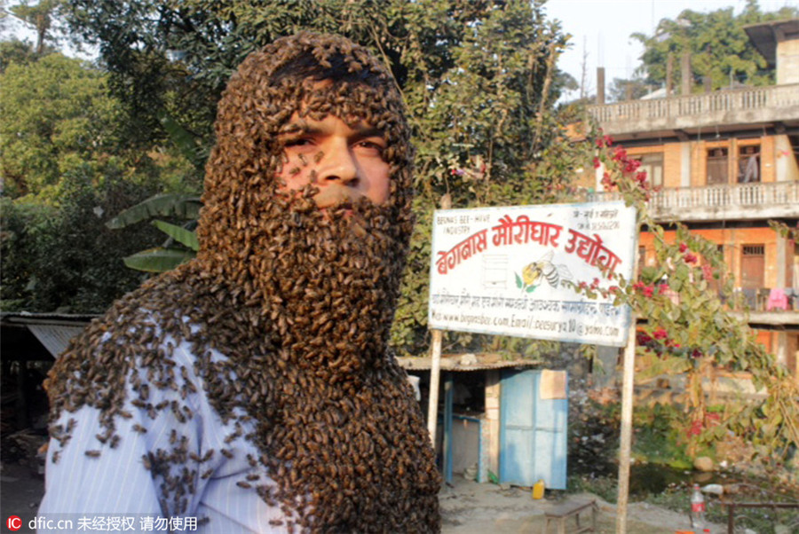 Nepalese man covers himself in fatal Serena bees
