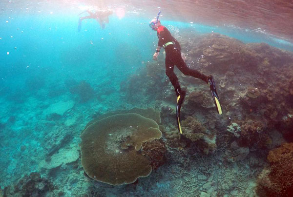 Aust'n gov't, environmentalist share concerns for Great Barrier Reef