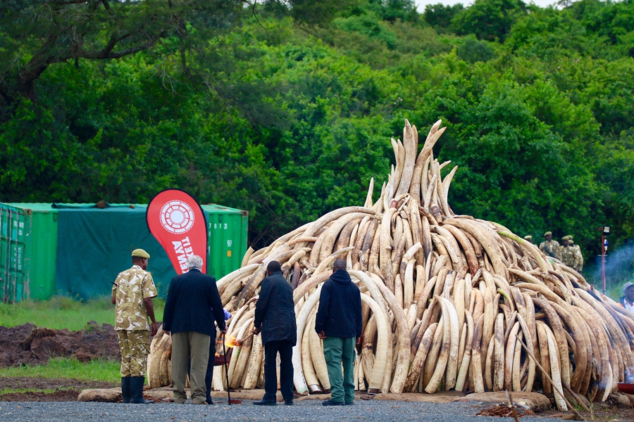 Kenya burns ivory in stand against illegal trade