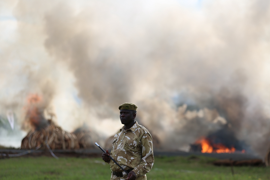 Kenya burns ivory in stand against illegal trade