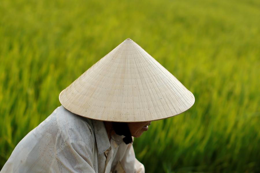 Conical hat: A timeless symbol of Vietnamese