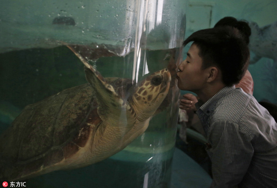 DPRK's renovated central zoo attracts thousands of visitors every day