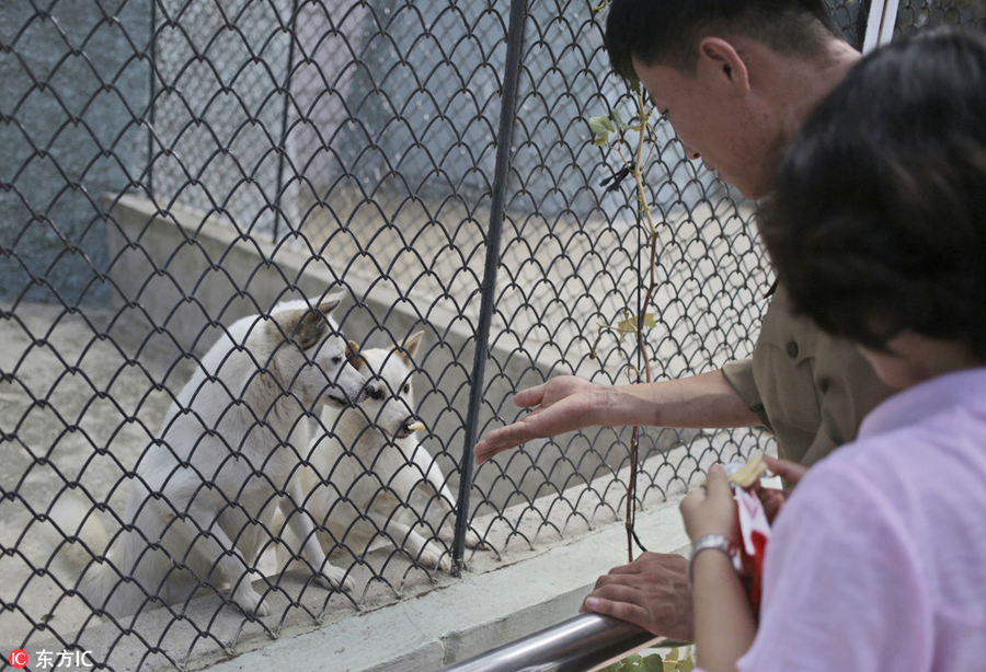 DPRK's renovated central zoo attracts thousands of visitors every day