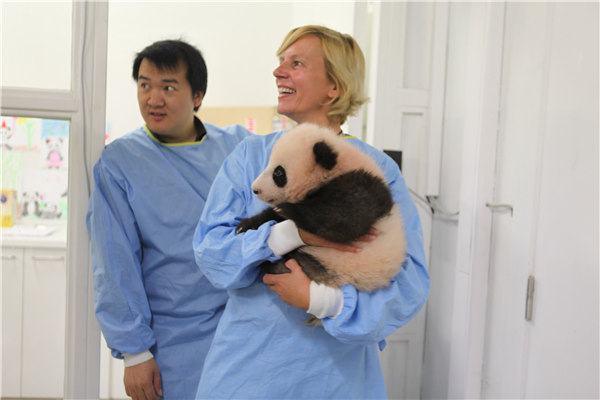 Belgium's baby panda gets VIP treatment on 100-day birthday