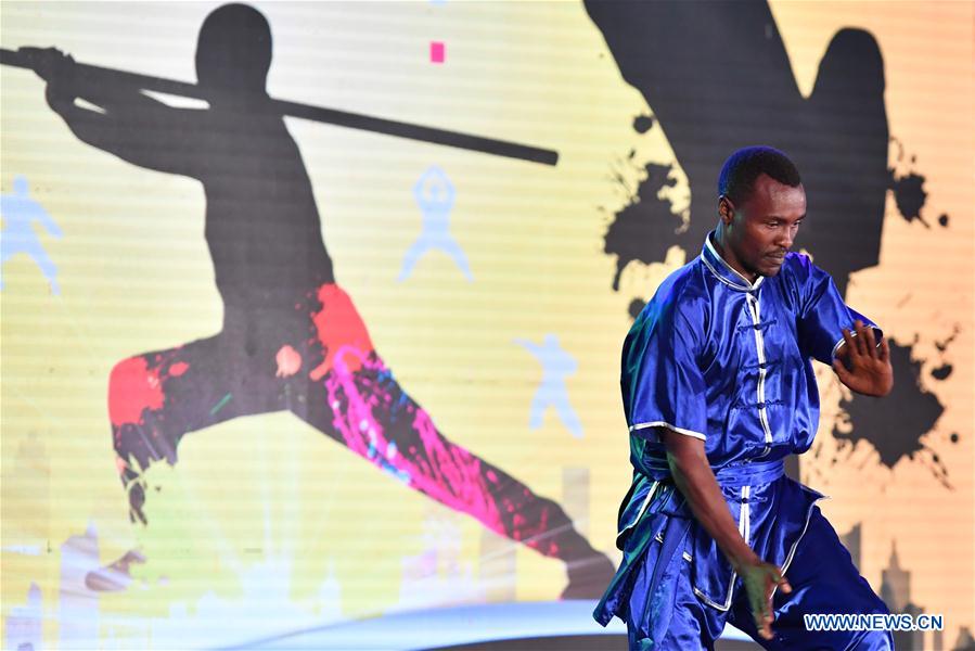 Kungfu Festival kicks off in Kenya