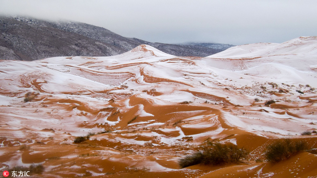 Sahara Desert with snow