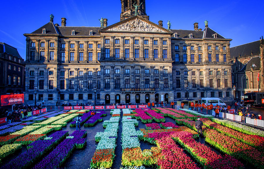 Amsterdam transforms into a tulip ocean on National Tulip Day