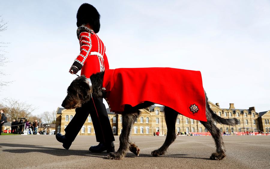 People across the world celebrate St Patrick's Day