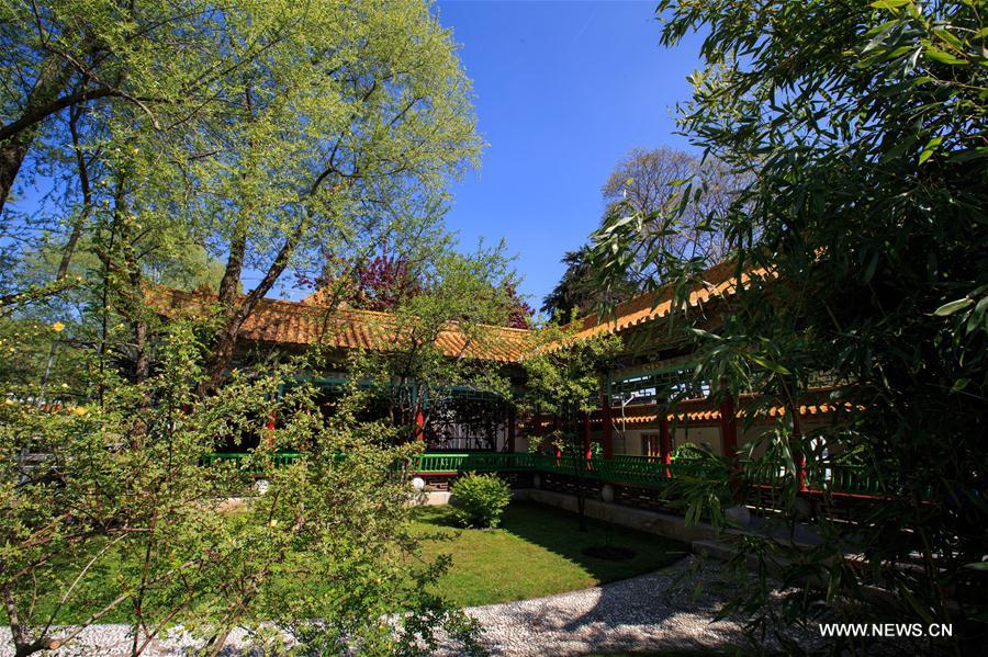 Scenery of Zurich Chinese Garden in Switzerland