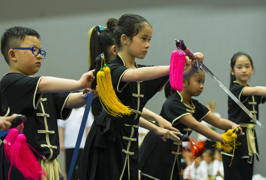 Martial arts lovers show their stuff at Canadian festival