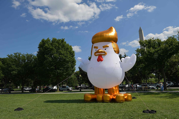 Inflatable Trump chicken takes roost outside White House