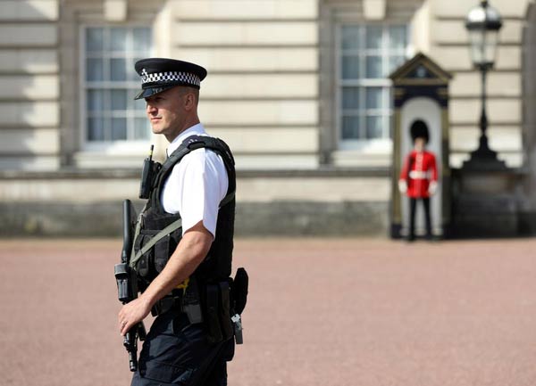 Second man nabbed over attack near Buckingham Palace