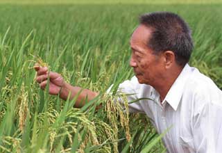 International students graduate from 'super rice' program