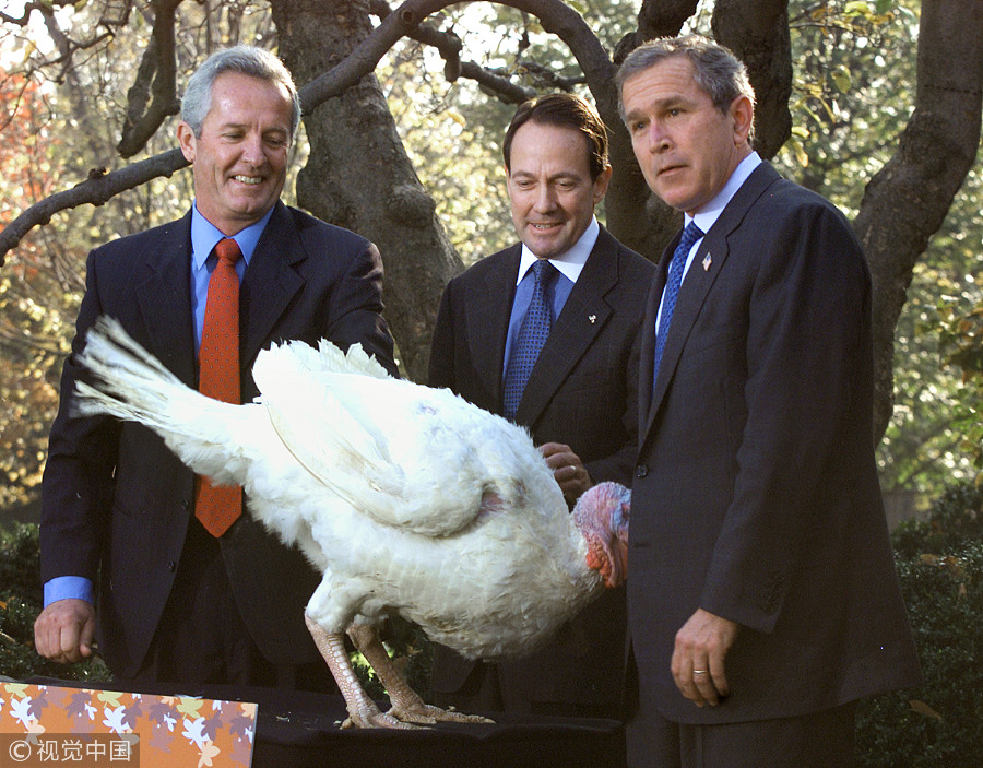 Thanksgiving story: US presidents and pardoned turkeys