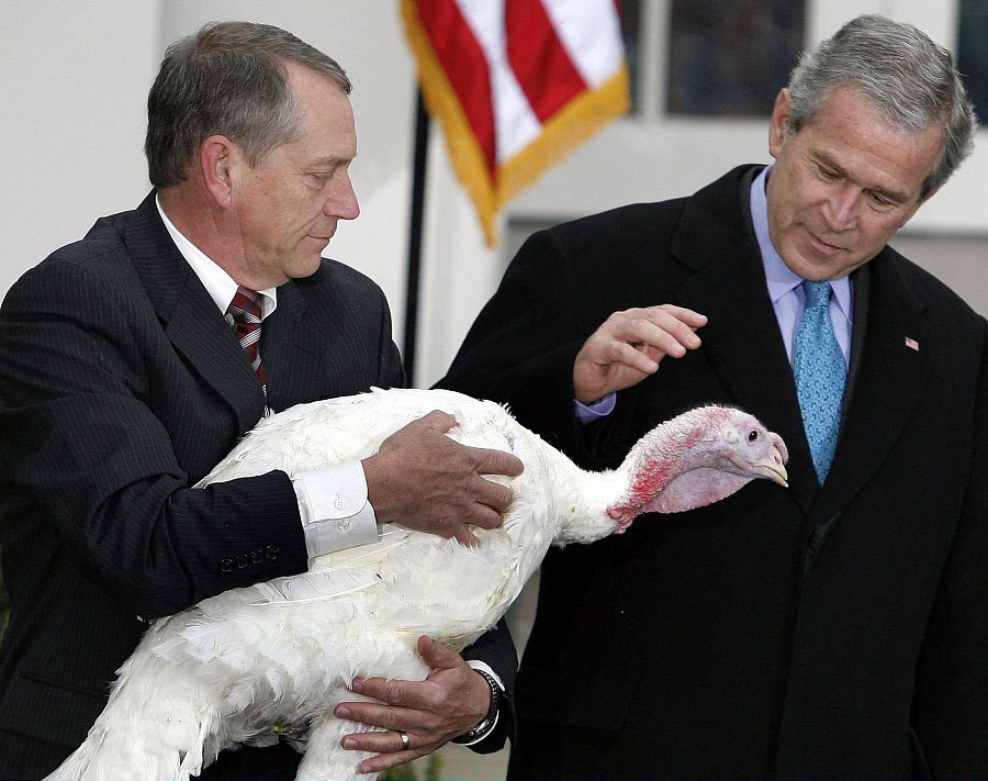 Thanksgiving story: US presidents and pardoned turkeys