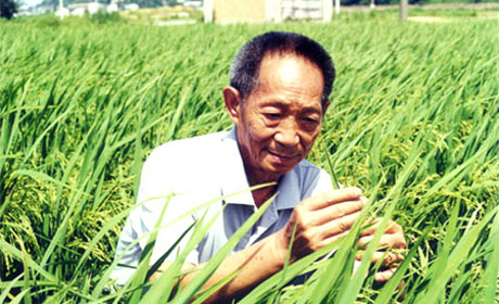 袁隆平：他用一粒米改变了世界
