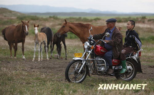 新疆伊犁天马的变迁[组图]