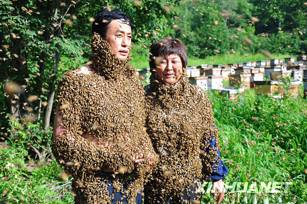 农民夫妇变“蜂人”[组图]