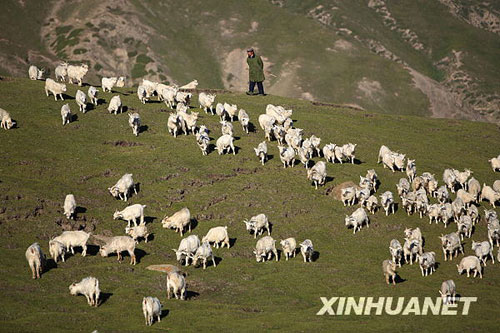 美丽的夏季草场[组图]