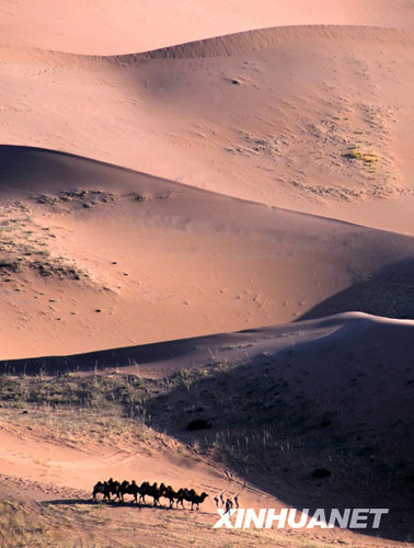 神奇壮观的巴丹吉林大沙漠