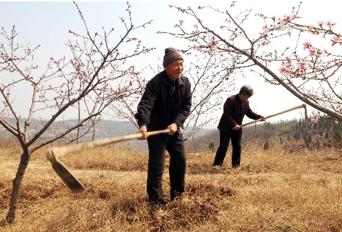 震撼人心的坚守：盲老汉10年绿化荒山